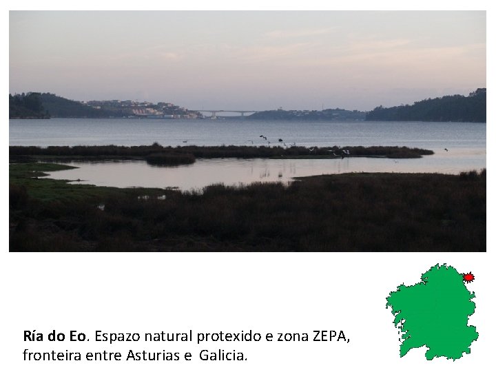 Ría do Eo. Espazo natural protexido e zona ZEPA, fronteira entre Asturias e Galicia.