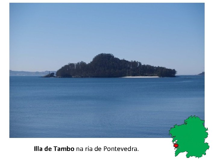 Illa de Tambo na ría de Pontevedra. 