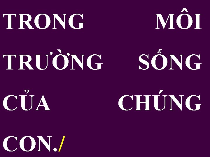 TRONG TRƯỜNG CỦA CON. / MÔI SỐNG CHÚNG 