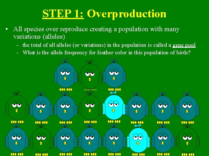 STEP 1: Overproduction • All species over reproduce creating a population with many variations