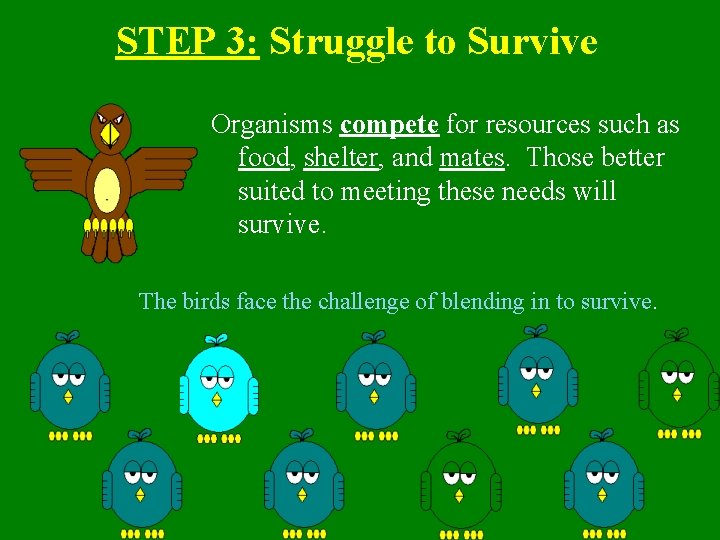 STEP 3: Struggle to Survive Organisms compete for resources such as food, shelter, and