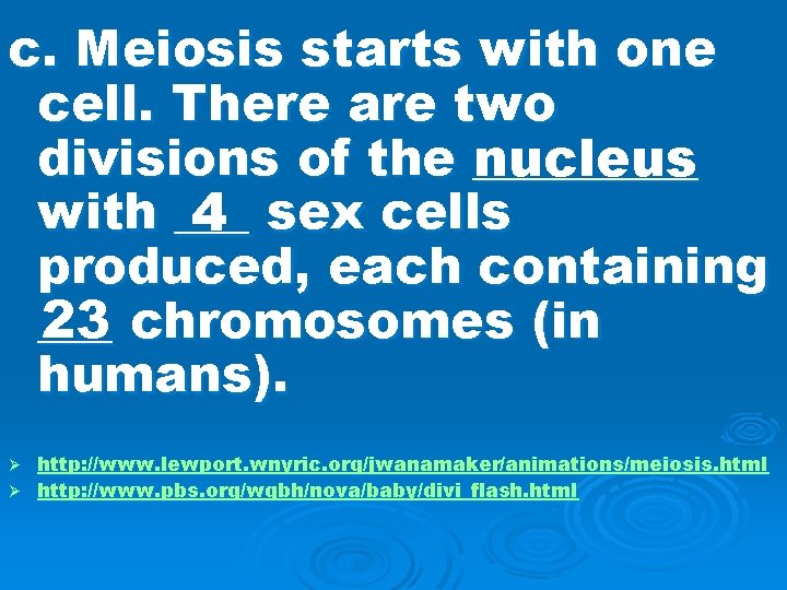 c. Meiosis starts with one cell. There are two divisions of the _____ nucleus