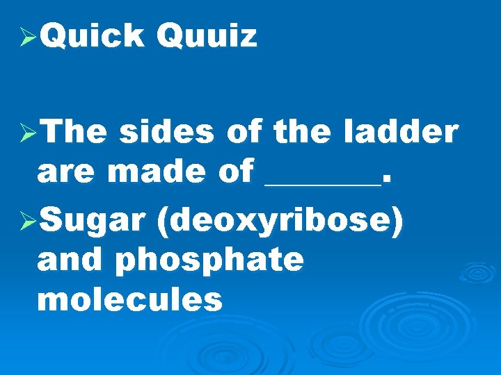 ØQuick ØThe Quuiz sides of the ladder are made of _______. ØSugar (deoxyribose) and