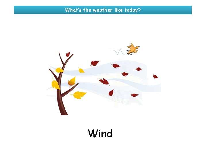 What’s the weather like today? Wind 