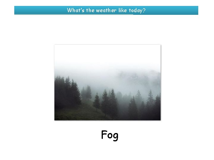What’s the weather like today? Fog 