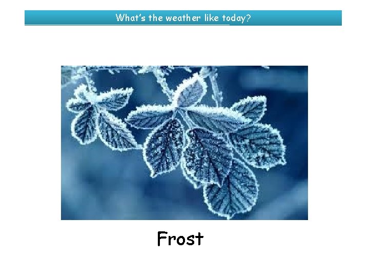 What’s the weather like today? Frost 
