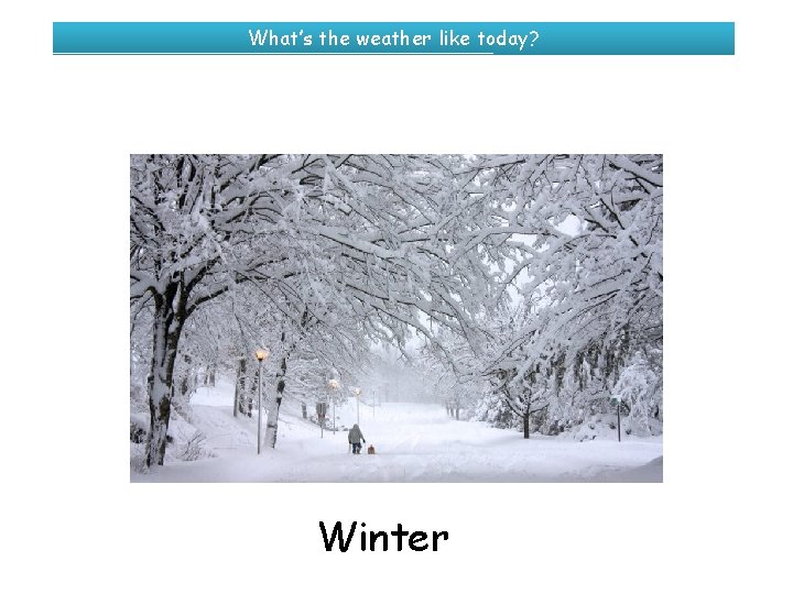 What’s the weather like today? Winter 