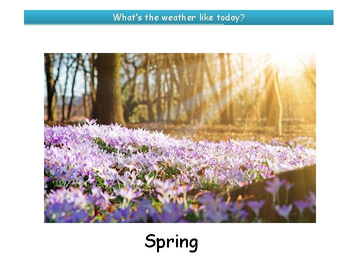 What’s the weather like today? Spring 