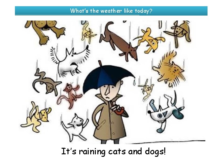 What’s the weather like today? It’s raining cats and dogs! 
