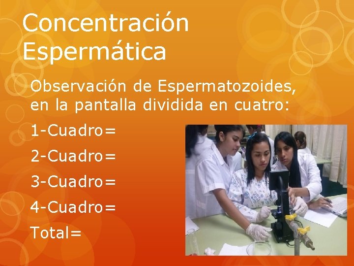 Concentración Espermática Observación de Espermatozoides, en la pantalla dividida en cuatro: 1 -Cuadro= 2