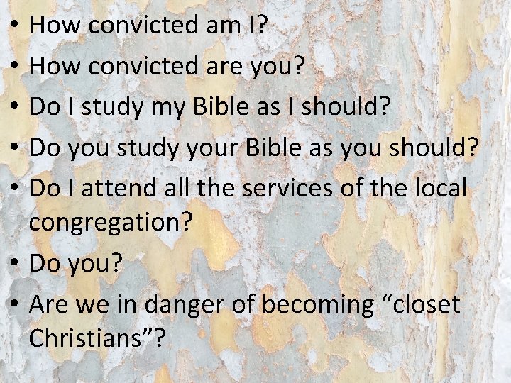 How convicted am I? How convicted are you? Do I study my Bible as How convicted am I? How convicted are you? Do I study my Bible as