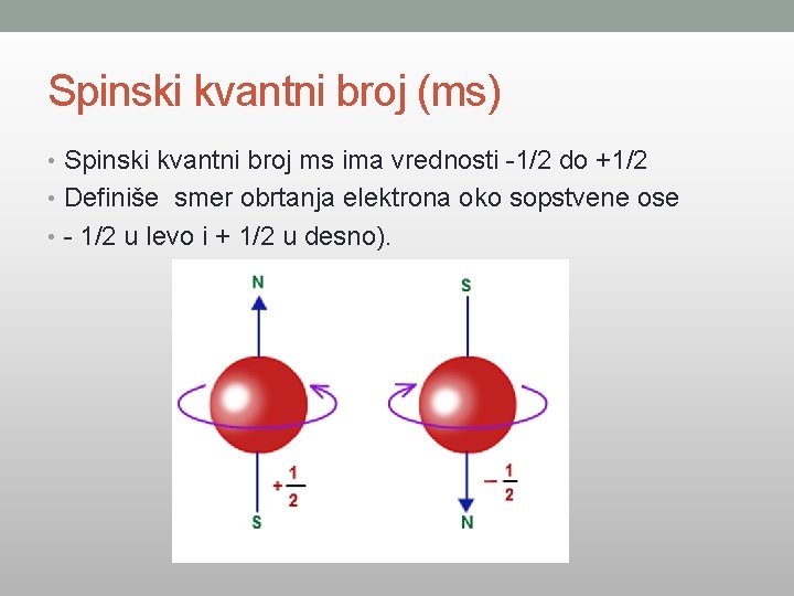 Spinski kvantni broj (ms) • Spinski kvantni broj ms ima vrednosti -1/2 do +1/2