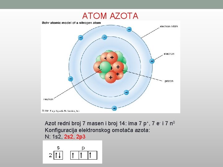 ATOM AZOTA Azot redni broj 7 masen i broj 14: ima 7 p+, 7