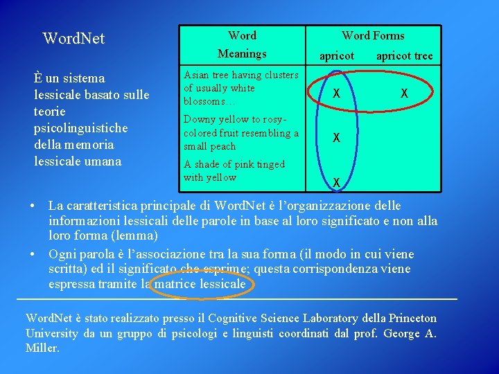 Word. Net È un sistema lessicale basato sulle teorie psicolinguistiche della memoria lessicale umana