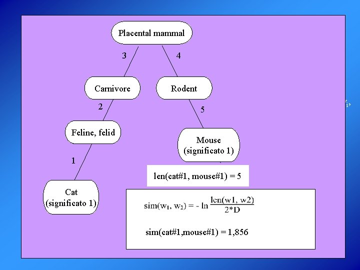 ALGORITMO DI WORD SENSE DISAMBIGUATION DEI NOMI Placental mammal Osservazione: se un insieme di