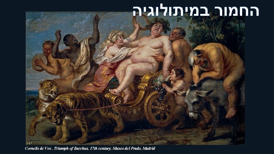  החמור במיתולוגיה . Cornelis de Vos , Triumph of Bacchus, 17 th century,