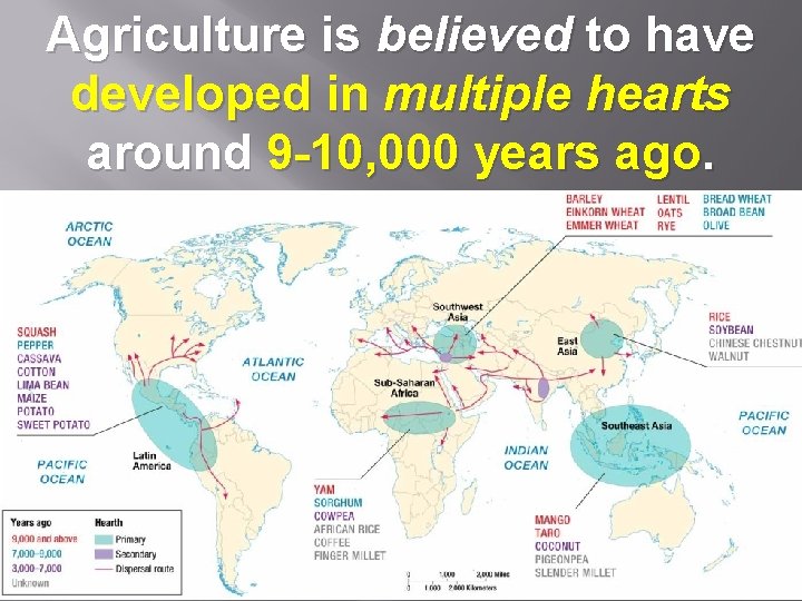 Agriculture is believed to have developed in multiple hearts around 9 -10, 000 years