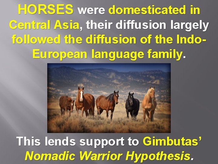HORSES were domesticated in Central Asia, their diffusion largely followed the diffusion of the