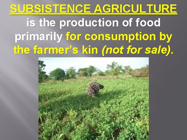 SUBSISTENCE AGRICULTURE is the production of food primarily for consumption by the farmer’s kin