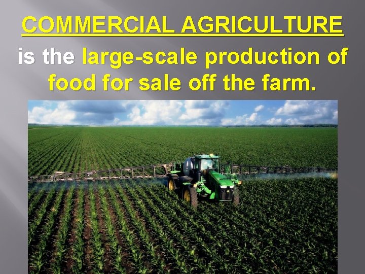 COMMERCIAL AGRICULTURE is the large-scale production of food for sale off the farm. 