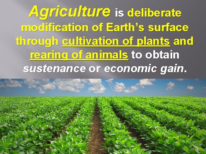 Agriculture is deliberate modification of Earth’s surface through cultivation of plants and rearing of