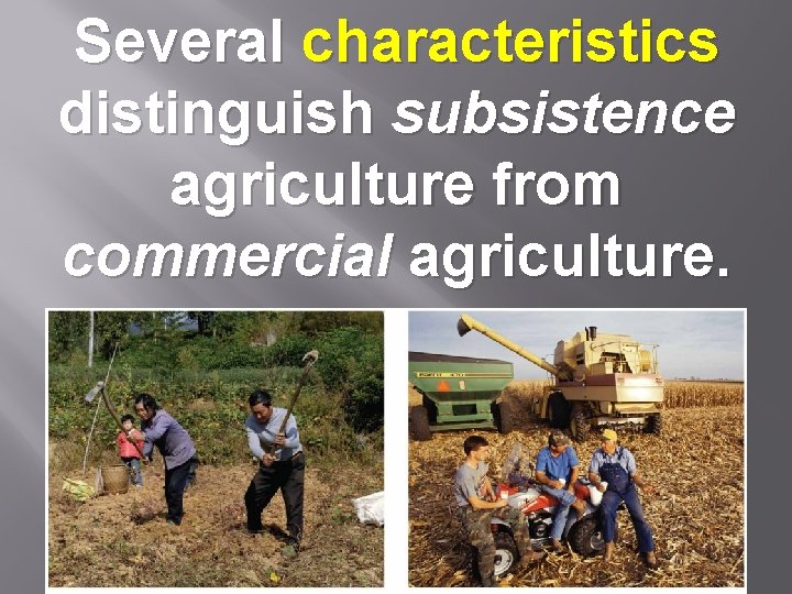 Several characteristics distinguish subsistence agriculture from commercial agriculture. 