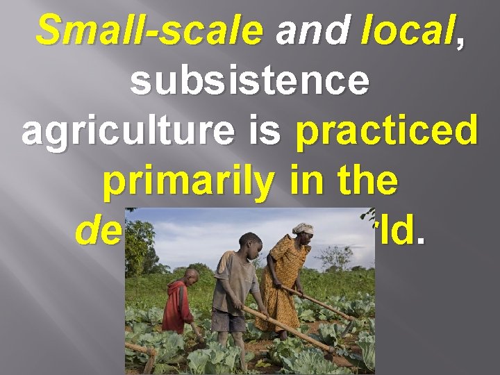 Small-scale and local, subsistence agriculture is practiced primarily in the developing world. 