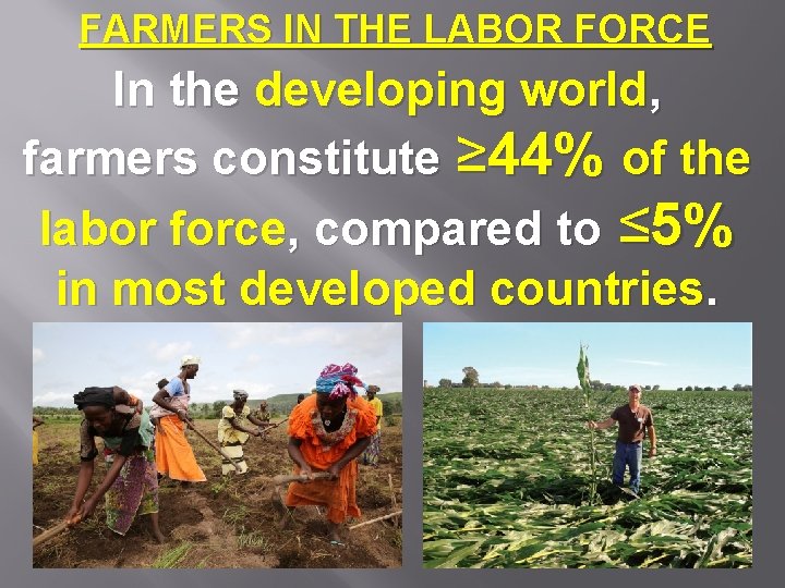 FARMERS IN THE LABOR FORCE In the developing world, farmers constitute ≥ 44% of