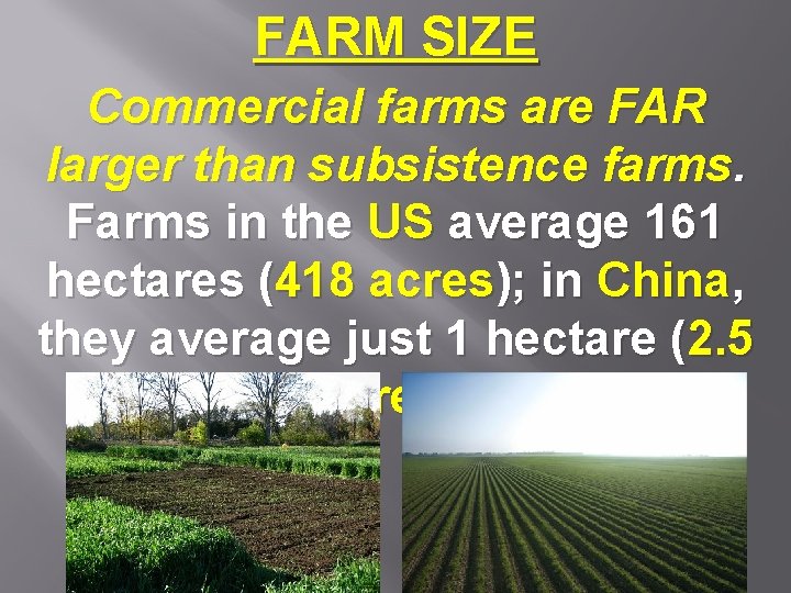 FARM SIZE Commercial farms are FAR larger than subsistence farms. Farms in the US