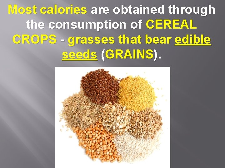 Most calories are obtained through the consumption of CEREAL CROPS - grasses that bear