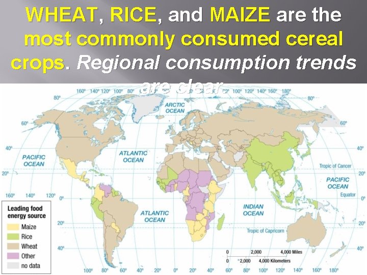 WHEAT, RICE, and MAIZE are the most commonly consumed cereal crops. Regional consumption trends