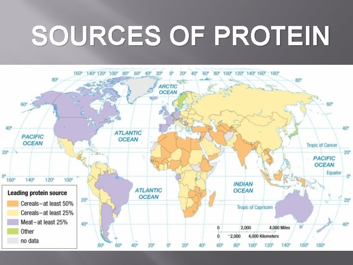 SOURCES OF PROTEIN 