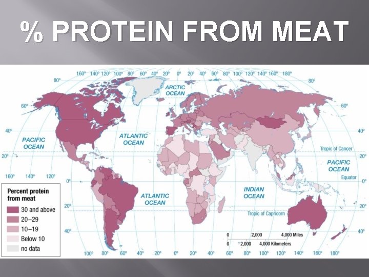 % PROTEIN FROM MEAT 