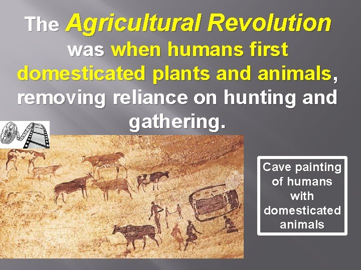 The Agricultural Revolution was when humans first domesticated plants and animals, removing reliance on