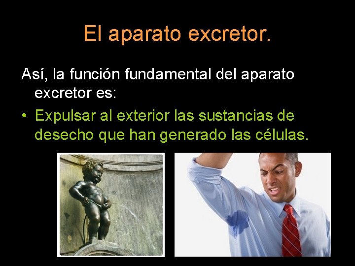 El aparato excretor. Así, la función fundamental del aparato excretor es: • Expulsar al