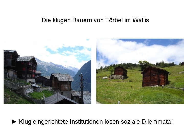 Die klugen Bauern von Törbel im Wallis ► Klug eingerichtete Institutionen lösen soziale Dilemmata!