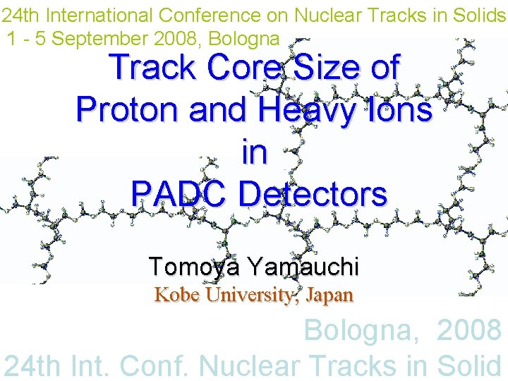 24 th International Conference on Nuclear Tracks in Solids 1 - 5 September 2008,