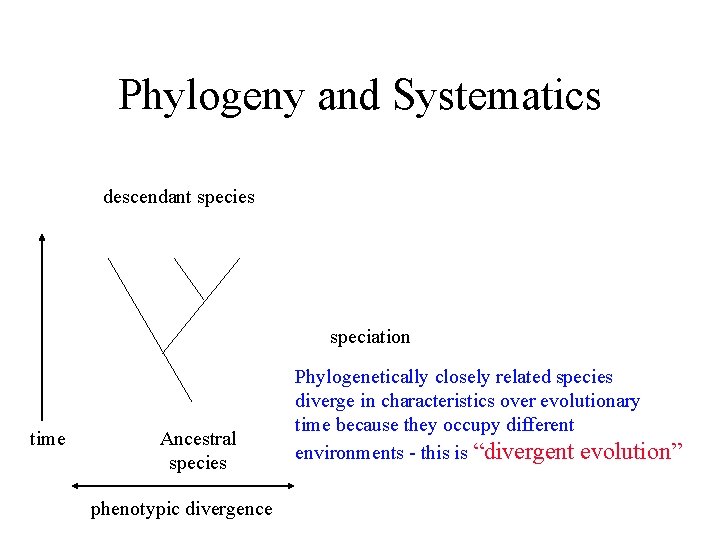 Phylogeny and Systematics descendant species speciation time Ancestral species phenotypic divergence Phylogenetically closely related