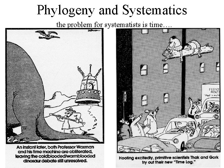 Phylogeny and Systematics the problem for systematists is time…. 