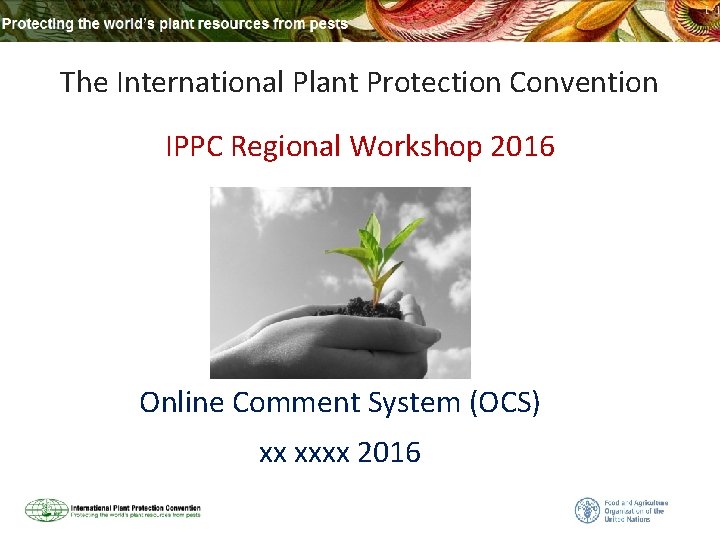 The International Plant Protection Convention IPPC Regional Workshop 2016 New IPPC Online Comment System