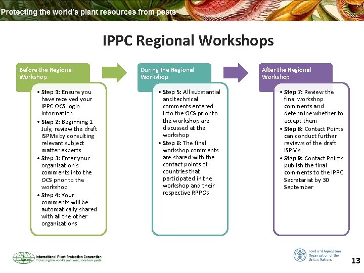 IPPC Regional Workshops Before the Regional Workshop • Step 1: Ensure you have received