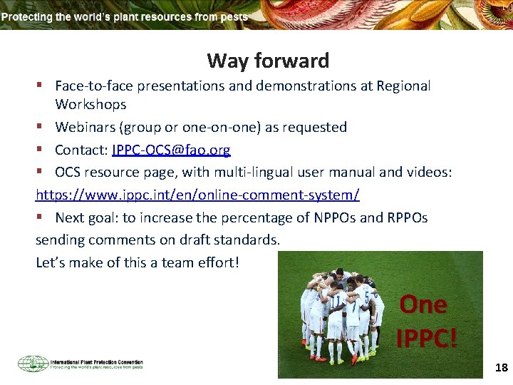 Way forward § Face-to-face presentations and demonstrations at Regional Workshops § Webinars (group or