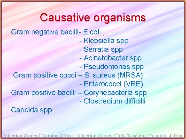 Causative organisms Gram negative bacilli- E. coli , - Klebsiella spp - Serratia spp