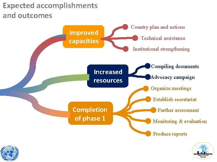 Expected accomplishments and outcomes Improved capacities Country plan and actions Technical assistance Institutional strengthening