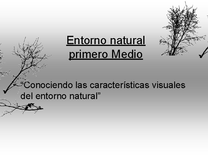 Entorno natural primero Medio • “Conociendo las características visuales del entorno natural” 