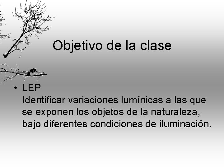 Objetivo de la clase • LEP Identificar variaciones lumínicas a las que se exponen