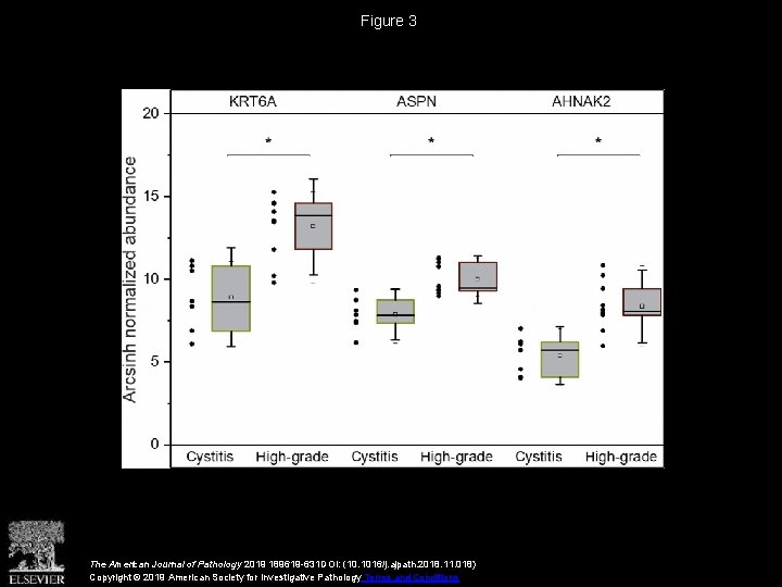 Figure 3 The American Journal of Pathology 2019 189619 -631 DOI: (10. 1016/j. ajpath.