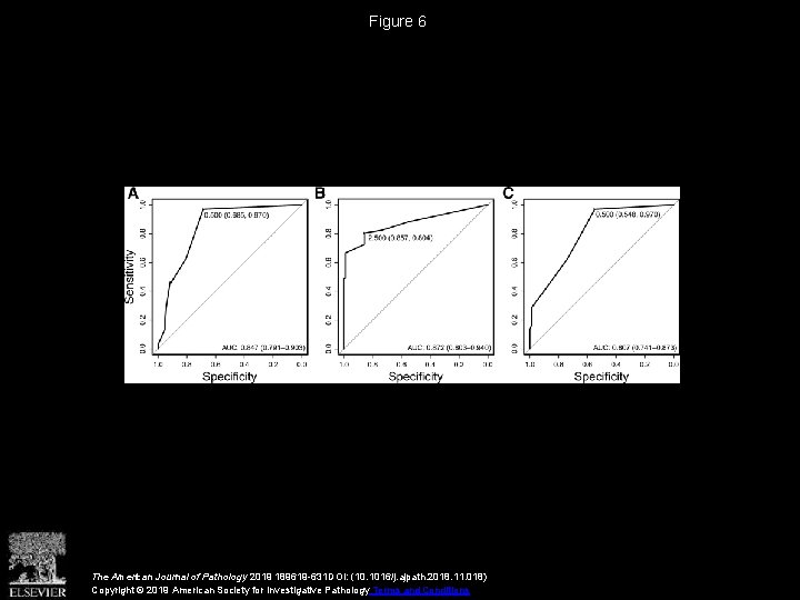 Figure 6 The American Journal of Pathology 2019 189619 -631 DOI: (10. 1016/j. ajpath.