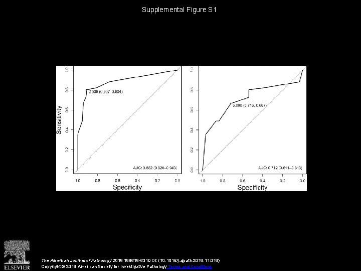Supplemental Figure S 1 The American Journal of Pathology 2019 189619 -631 DOI: (10.
