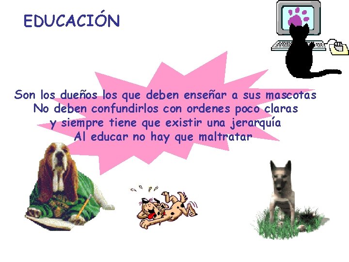 EDUCACIÓN Son los dueños los que deben enseñar a sus mascotas No deben confundirlos